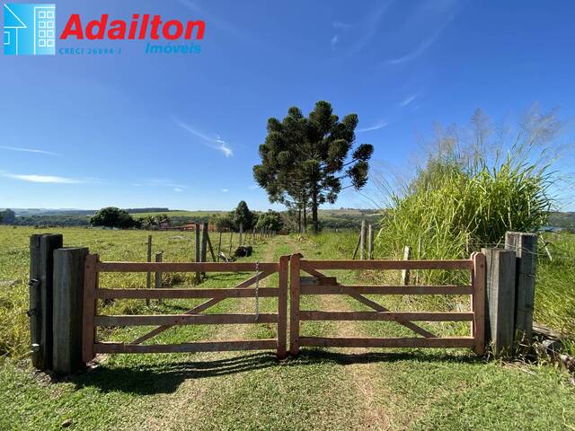 #1251 - Chácara para Venda em Piraju - SP - 2