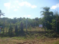 #456 - Terreno para Venda em Piraju - SP - 3